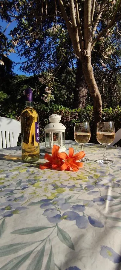 Affittacamere Angela Levanto Guest house