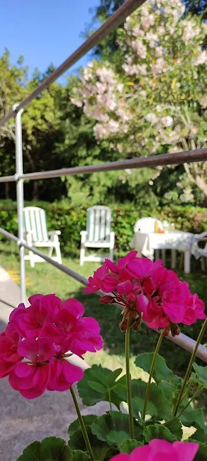 Guest house Affittacamere Angela Levanto
