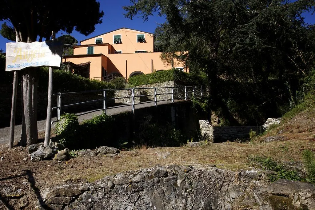 Affittacamere Angela Levanto Italy
